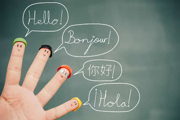 Comment Je Peux Faire Pour Avoir La Traduction Française